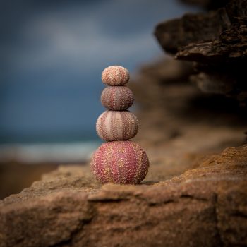 holger-link-621006-unsplash holger-link-621006-unsplash
